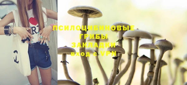 прущие крисы Алексеевка
