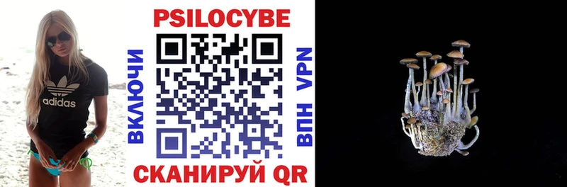 даркнет сайт  Тюмень  Псилоцибиновые грибы мицелий 